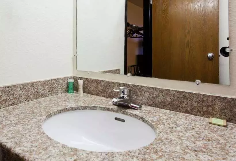 汽车旅馆  Super 8 By Wyndham Tuscaloosa