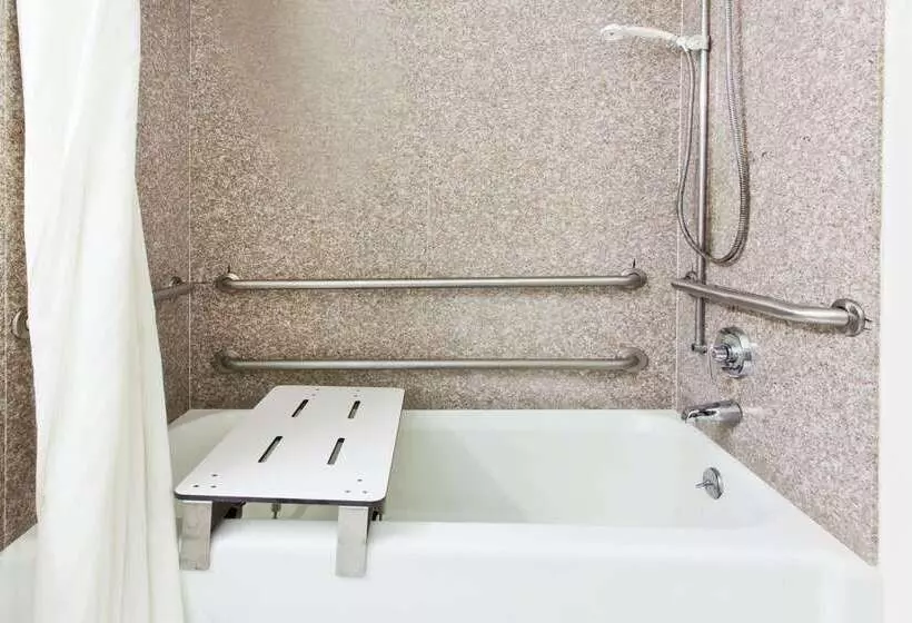 汽车旅馆  Super 8 By Wyndham Tuscaloosa