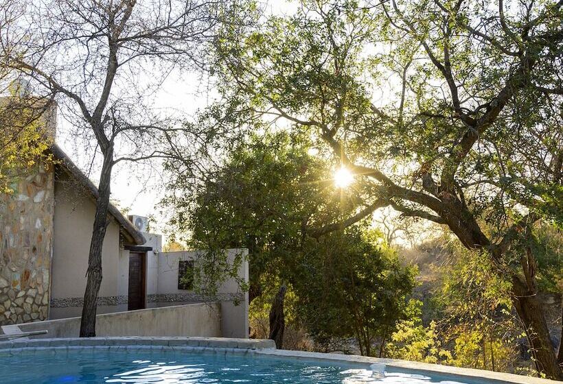 בית מלון כפרי Leopard's Lair Bush Lodge