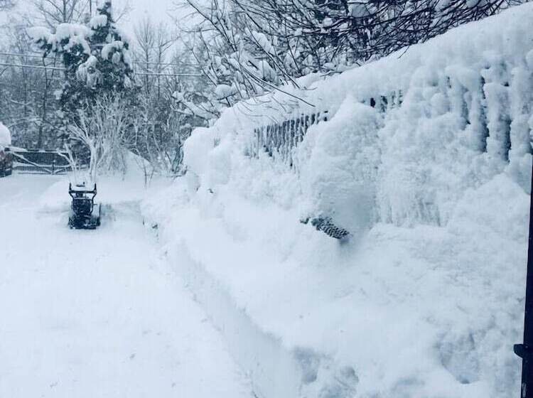 Apartament Jaworzyna