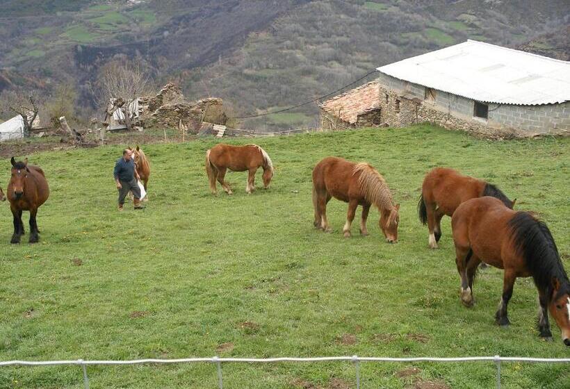 فندق Ca De Graus