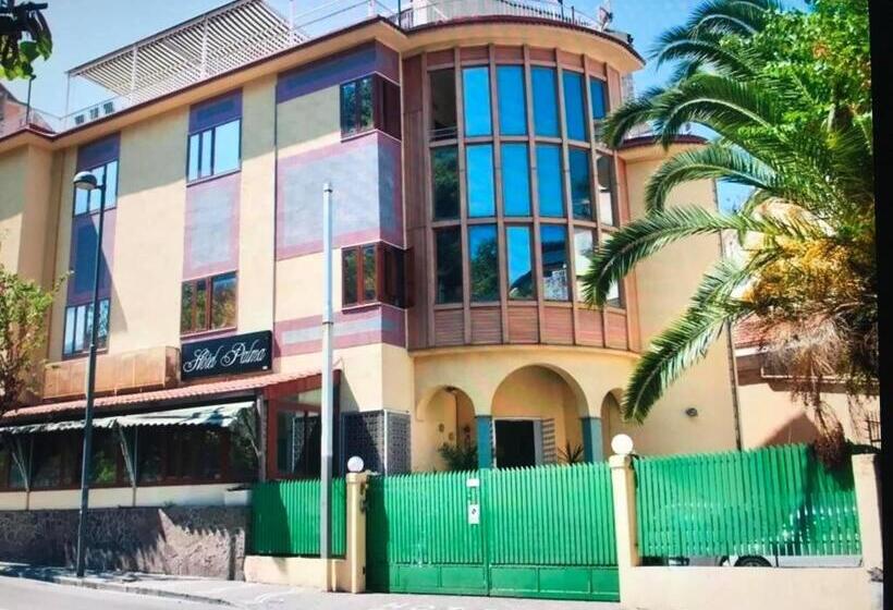 هتل Palma