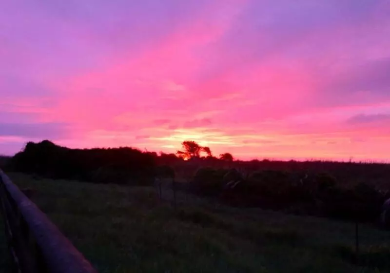 Aamiaismajoitus (B&B) Awatuna Sunset Lodge