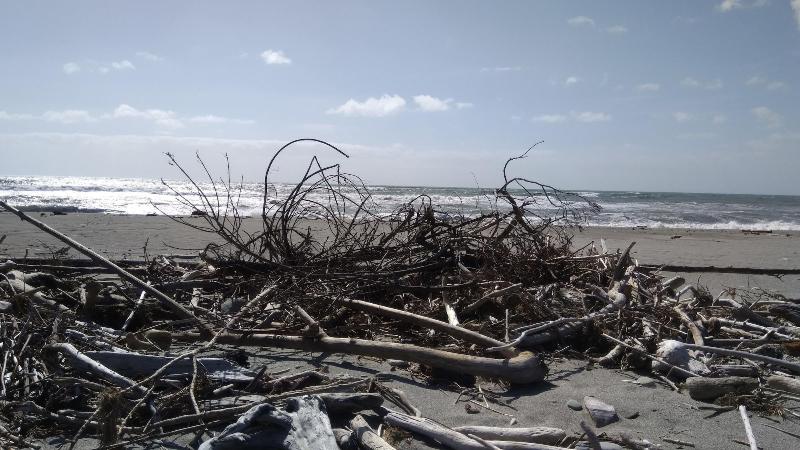 住宿加早餐  Awatuna Sunset Lodge