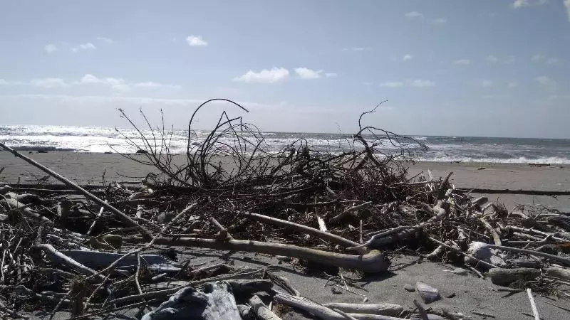 Aamiaismajoitus (B&B) Awatuna Sunset Lodge