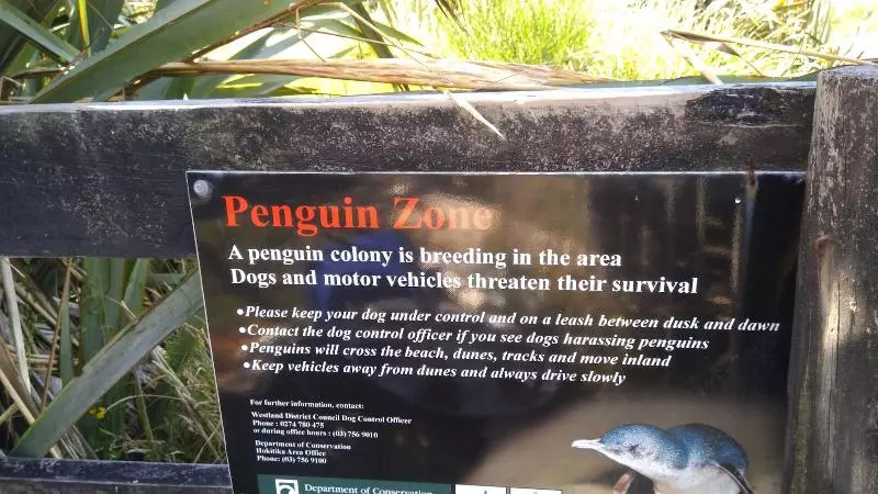 Aamiaismajoitus (B&B) Awatuna Sunset Lodge