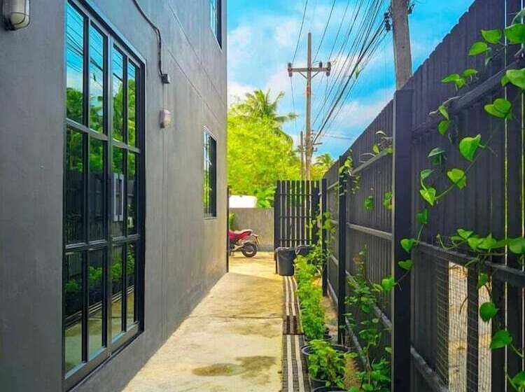 Hostel The Willow Phangan