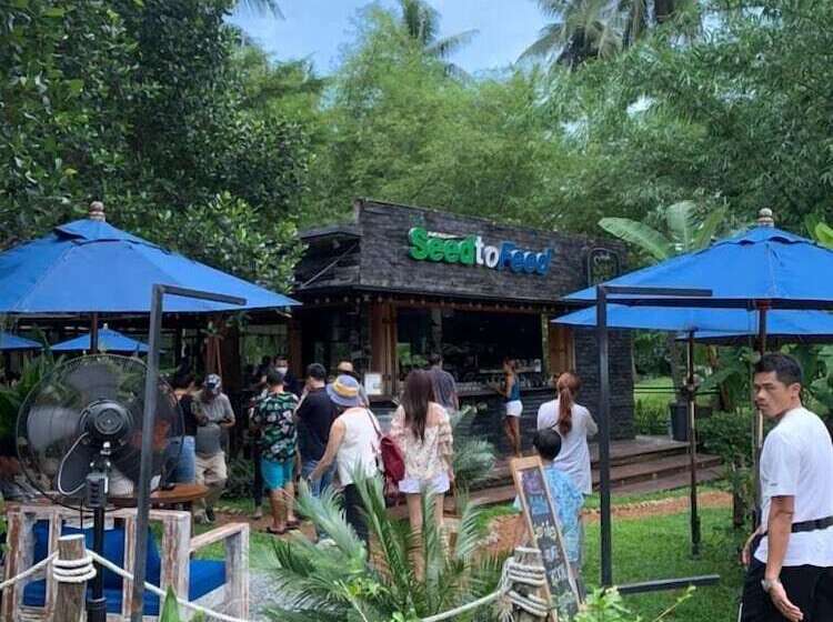 Hostel The Willow Phangan