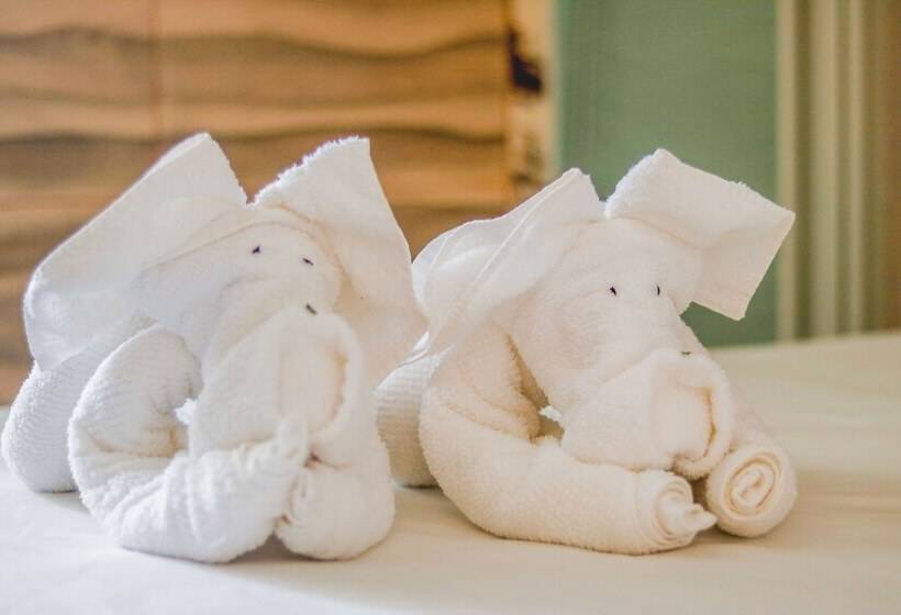 호텔 Pousada Vila Baiana