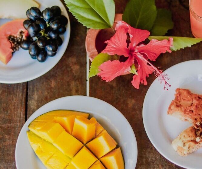 호텔 Pousada Vila Baiana