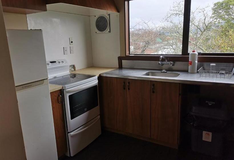 The Backyard Inn Accommodation