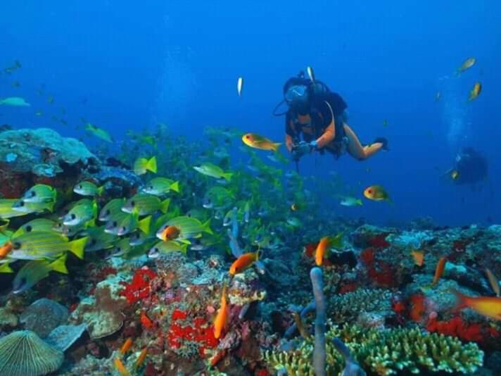 Ceylon Hostel Galle Hostel