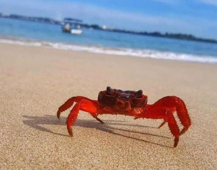 Ceylon Hostel Galle Hostel