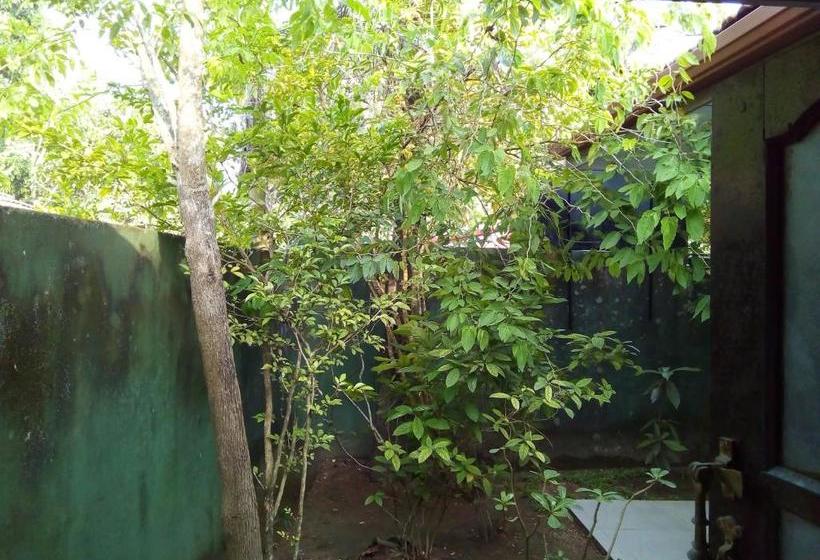 Ceylon Hostel Galle Hostel