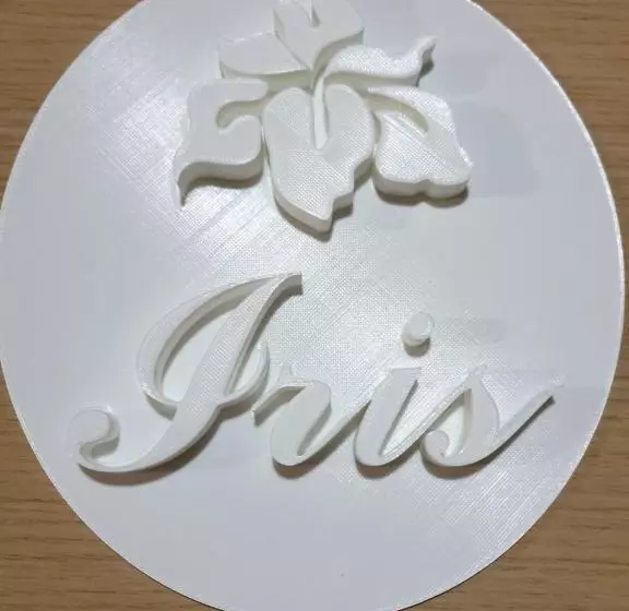 پانسیون Iris Home