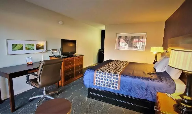 酒店 Economy 7 Inn  Newport News