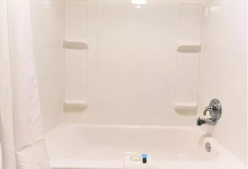 酒店 Economy 7 Inn  Newport News