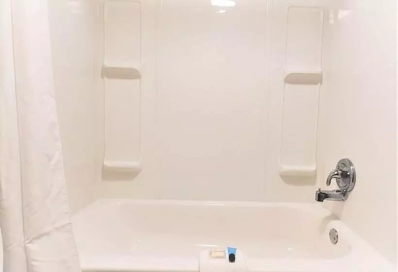 酒店 Economy 7 Inn  Newport News