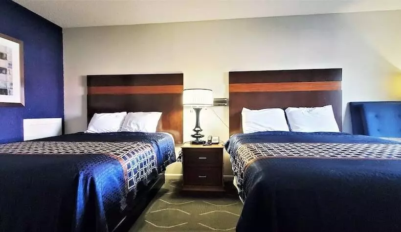 酒店 Economy 7 Inn  Newport News