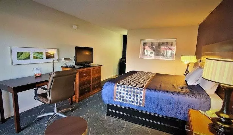 酒店 Economy 7 Inn  Newport News