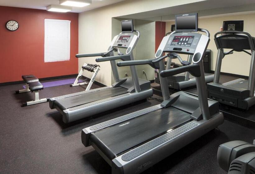 فندق Towneplace Suites Dallas Arlington North