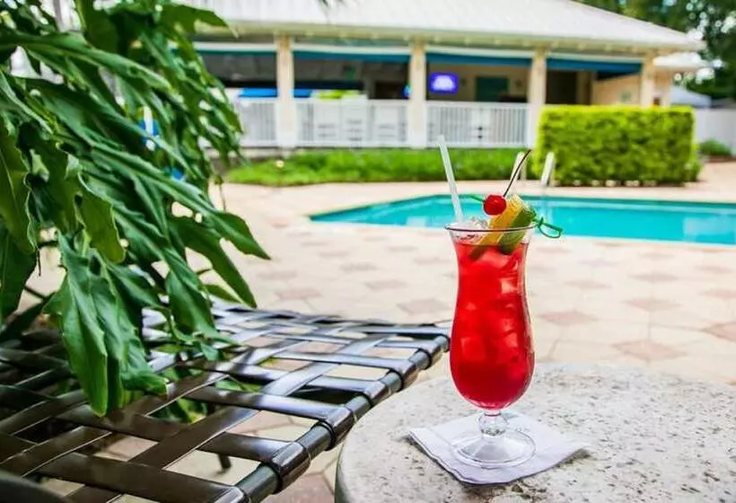 酒店 Trianon Bonita Bay