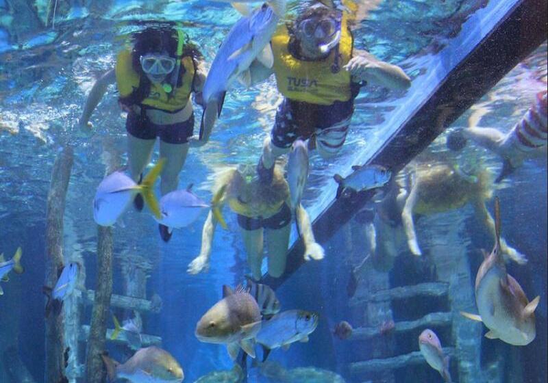 渡假胜地  Rumfish Beach At Tradewinds