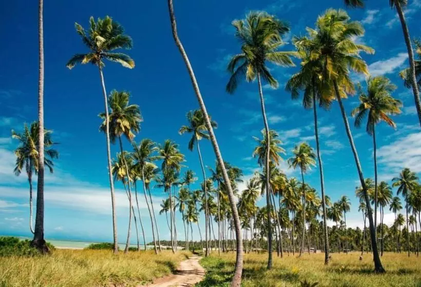 Majatalo Pousada Divino Milagre