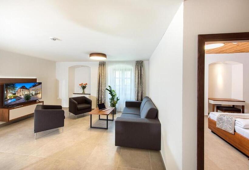 膳宿费 Residence Hluboká