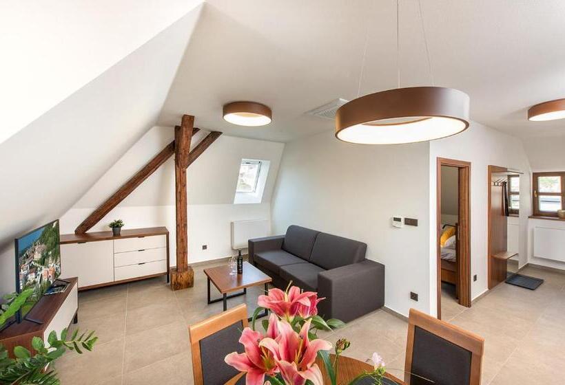 膳宿费 Residence Hluboká