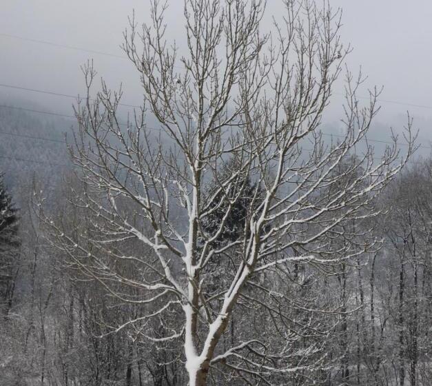 Apparthotel Stoanerhof