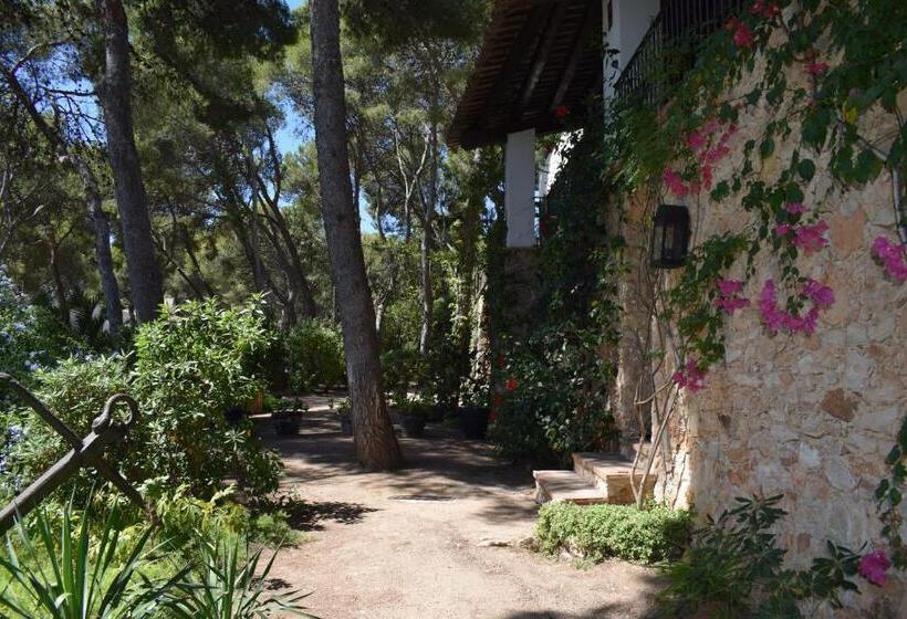 پانسیون L àncora De Barà