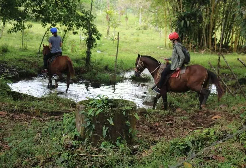 Hotelli Cabinas Sueño Real Guatuso