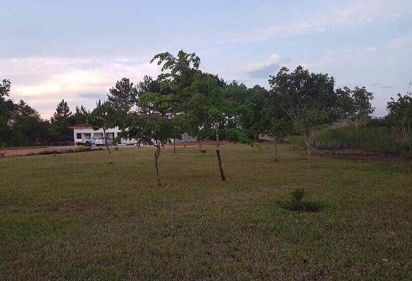 Rayoni Guesthouse B&b