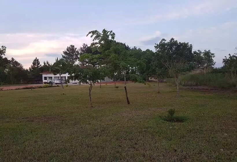 Rayoni Guesthouse B&b