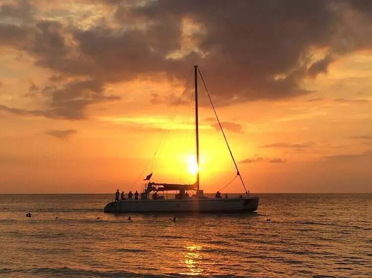 Solet S Paradise Negril