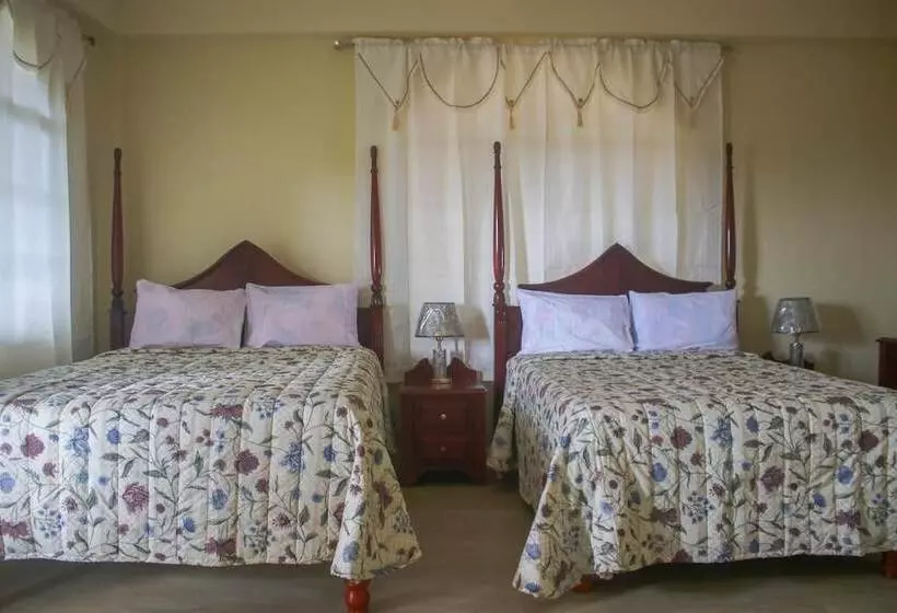 Solet S Paradise Negril