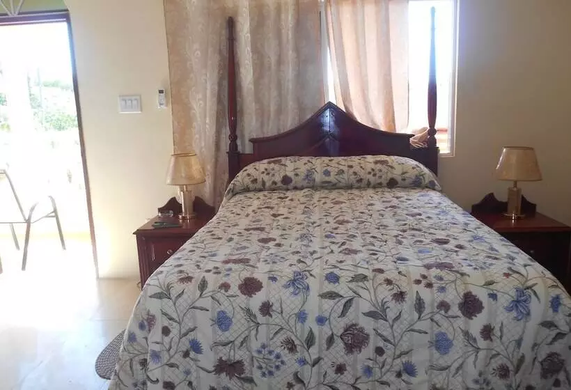 Solet S Paradise Negril