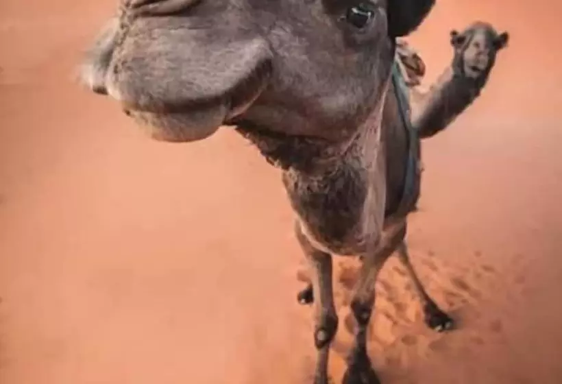 Hostelli Desert Waves