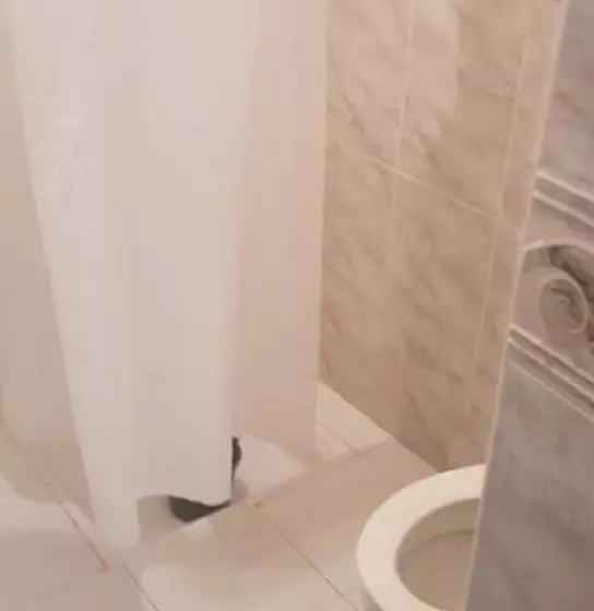 هتل Nouvelle Promo