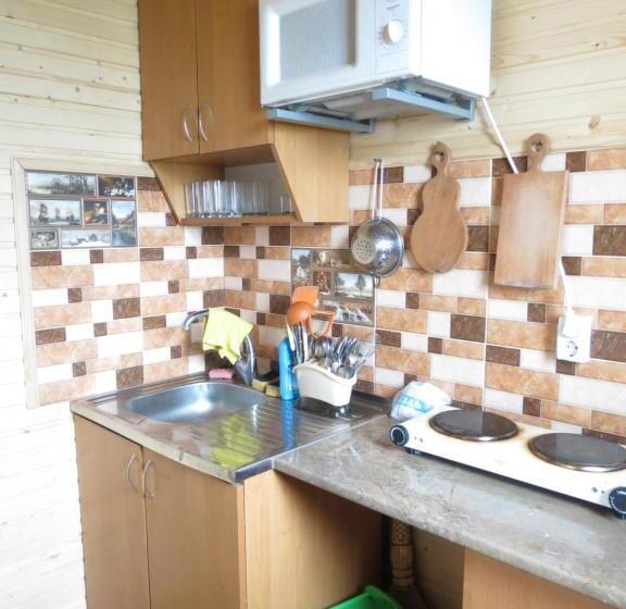 Pensió Bilyy Kamin Guest House