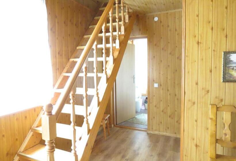 Pensió Bilyy Kamin Guest House