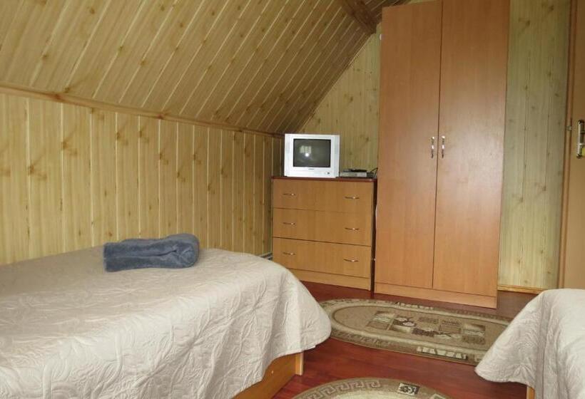 Pensió Bilyy Kamin Guest House