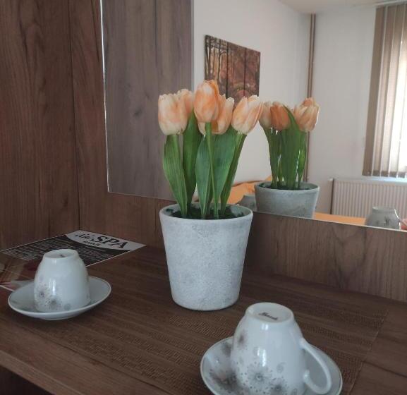 Vila čair Doplata Za Bazen