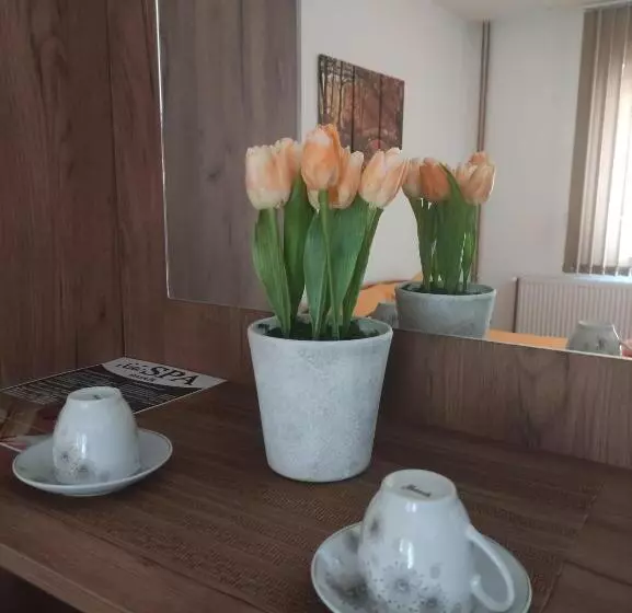 Vila čair Doplata Za Bazen