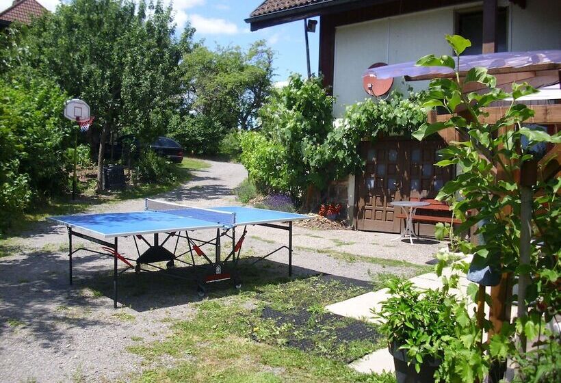 Apartment In Bernau Near The Ski Area