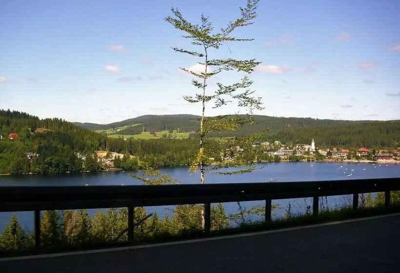 Apartment In Bernau Near The Ski Area