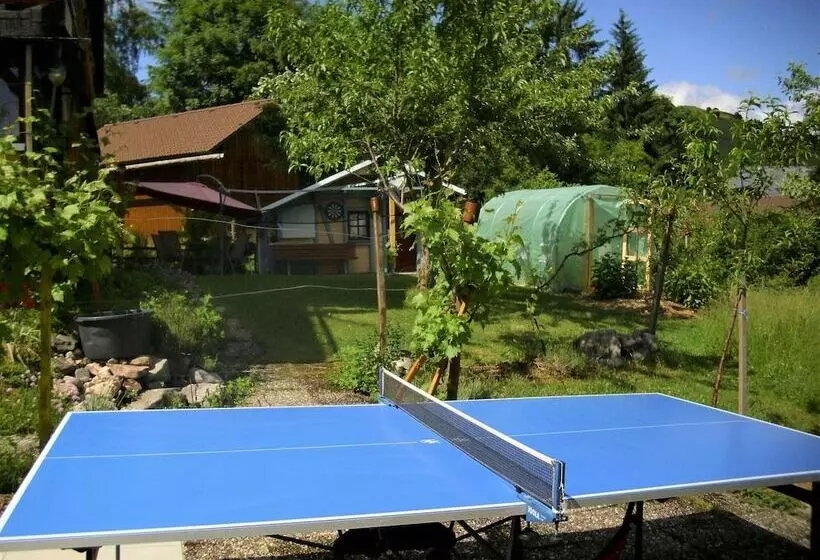 Apartment In Bernau Near The Ski Area