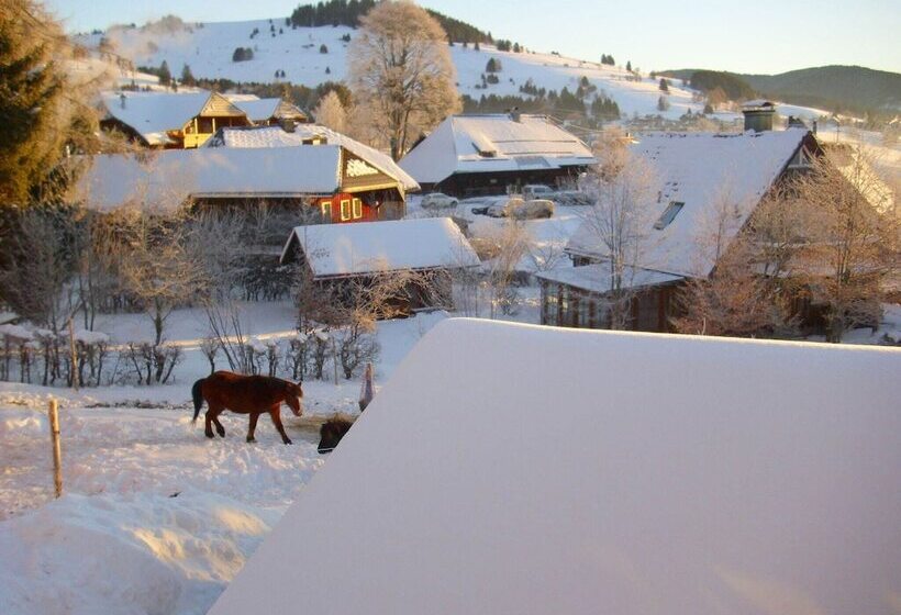 Apartment In Bernau Near The Ski Area