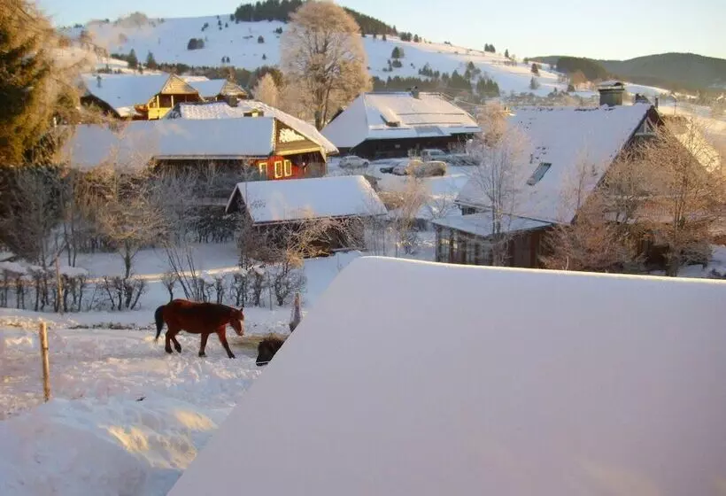Apartment In Bernau Near The Ski Area